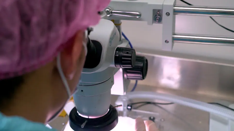 A Rat Orthotopic Renal Transplantation Model for Renal Allograft Rejection