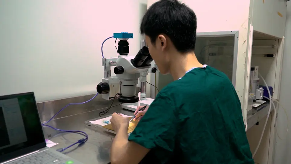 A Modified Cuff Technique for Mouse Cervical Heterotopic Heart Transplantation Model