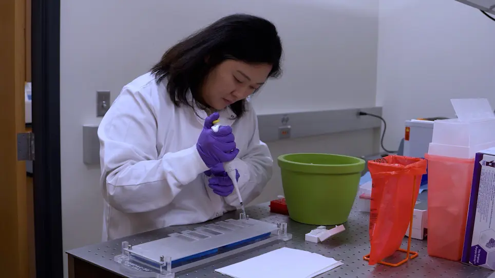 A High-Throughput Comet Assay Approach for Assessing Cellular DNA Damage