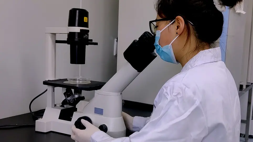 Detecting <em>Wolbachia</em> Strain wAlbB in <em>Aedes albopictus</em> Cell Lines
