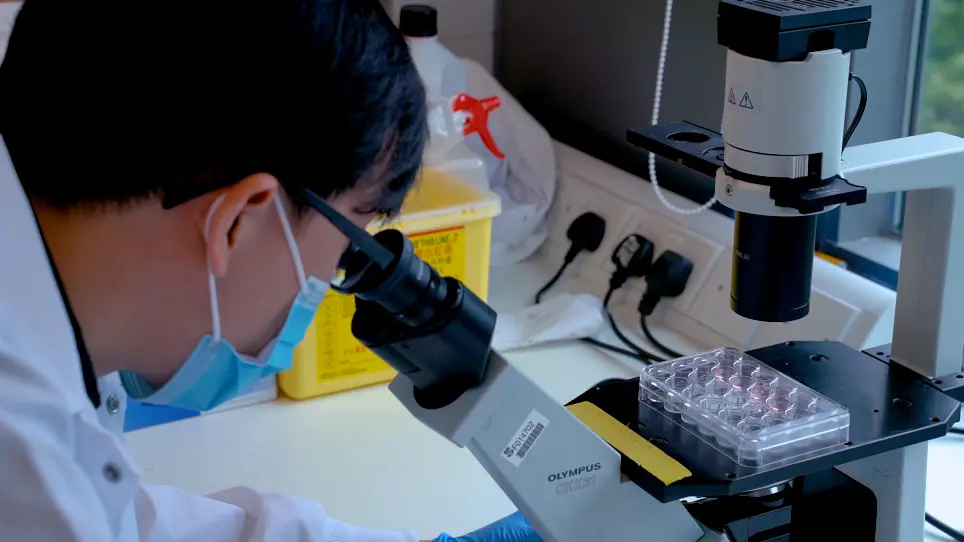 Establishing Human Lung Organoids and Proximal Differentiation to Generate Mature Airway Organoids