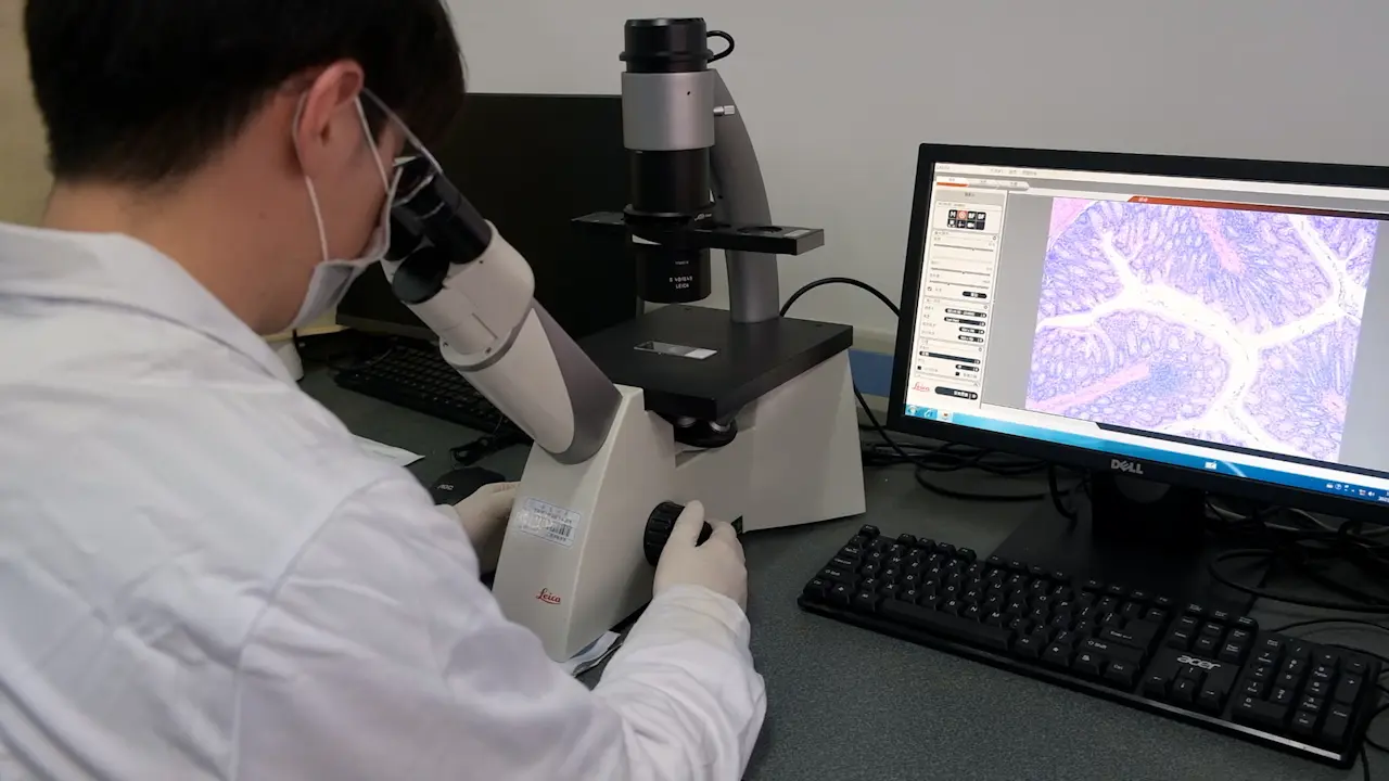 Investigating the Alleviating Effects of <em>Bacillus cereus</em> Administration on Colitis through Gut Microbiota Modulation