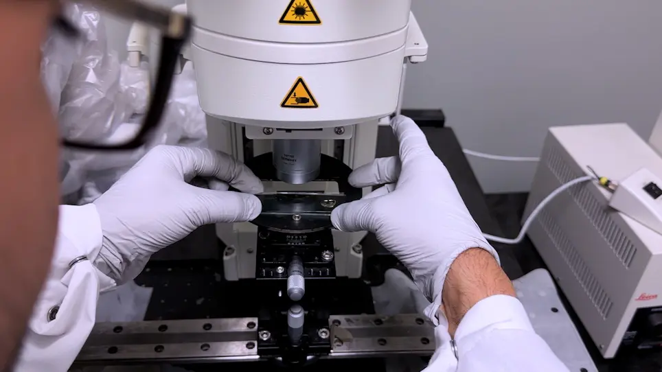 Detection and Quantitation of Label-Retaining Cells in Mouse Incisors using a 3D Reconstruction Approach after Tissue Clearing