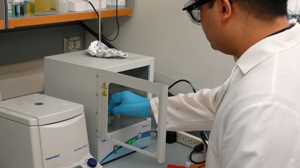 A Spin-Tip Enrichment Strategy for Simultaneous Analysis of N-Glycopeptides and Phosphopeptides from Human Pancreatic Tissues