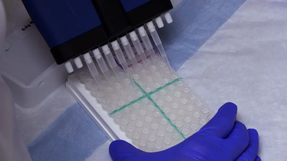 A High-Throughput Multiplexed Screening for Type 1 Diabetes, Celiac Diseases, and COVID-19