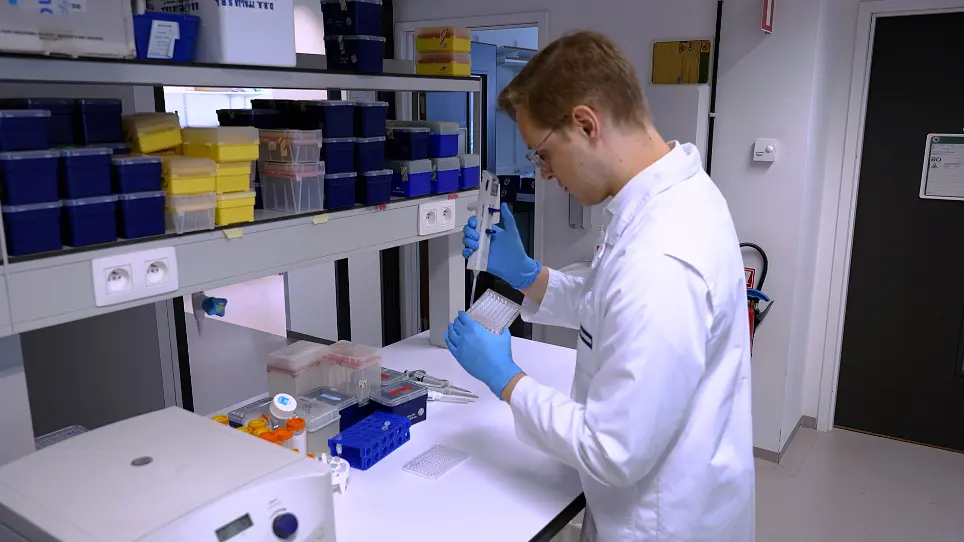 Rectal Organoid Morphology Analysis (ROMA): A Diagnostic Assay in Cystic Fibrosis