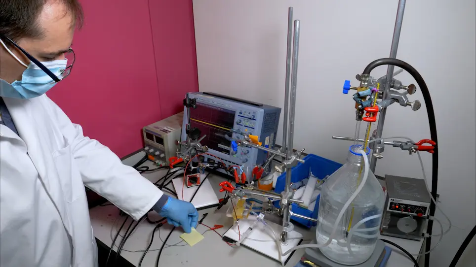 Preparation of Rat Sciatic Nerve for <em>Ex Vivo</em> Neurophysiology
