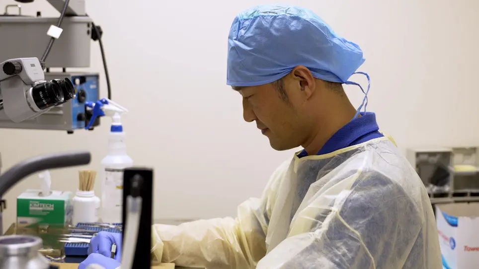 A Murine Model of Hemodialysis Access-Related Hand Dysfunction
