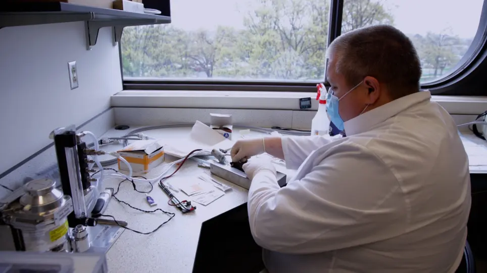 Electroporation of Plasmid DNA into Mouse Skeletal Muscle