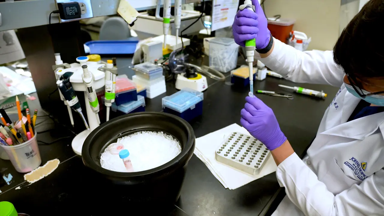 Experimental Model to Evaluate Resolution of Pneumonia