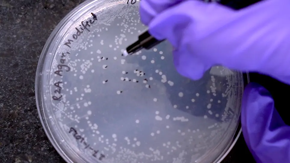 Isolation and Identification of Waterborne Antibiotic-Resistant Bacteria and Molecular Characterization of their Antibiotic Resistance Genes