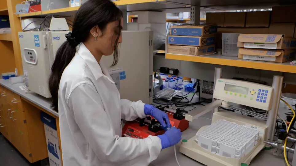 Multi-Stream Perfusion Bioreactor Integrated with Outlet Fractionation for Dynamic Cell Culture