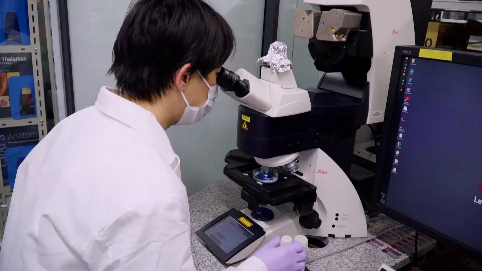 A Tissue Clearing Method for Neuronal Imaging from Mesoscopic to Microscopic Scales