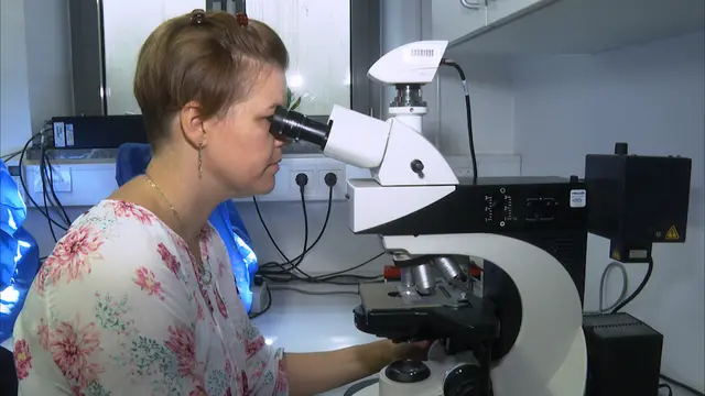 Histology Basics and Cell Death Detection in Honeybee Tissue