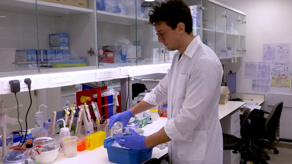 Isolation of Murine Intestinal Mesenchyme Resulting in a High Yield of Telocytes