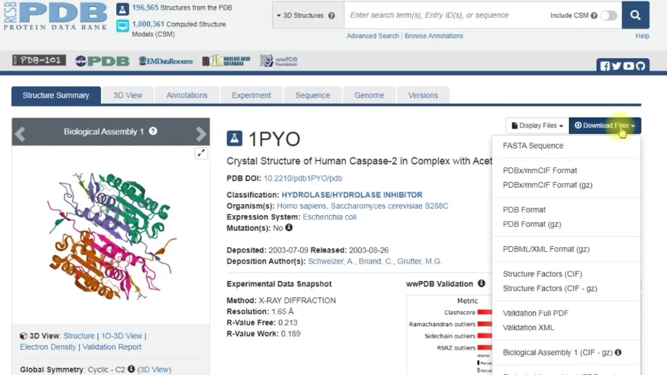 Exploring Caspase Mutations and Post-Translational Modification by Molecular Modeling Approaches