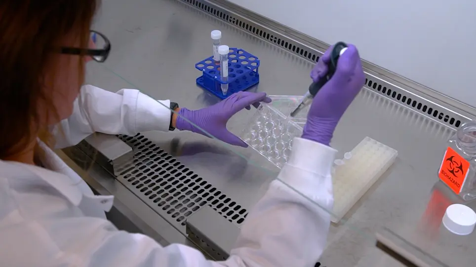 Determining Intestinal Permeability Using Lucifer Yellow in an Apical-Out Enteroid Model