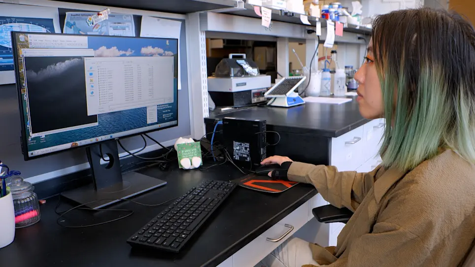 Quantification of Immunostained Caspase-9 in Retinal Tissue