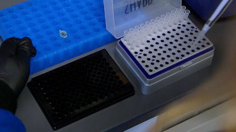 Determination of <em>In Vitro</em> and Cellular Turn-on Kinetics for Fluorogenic RNA Aptamers
