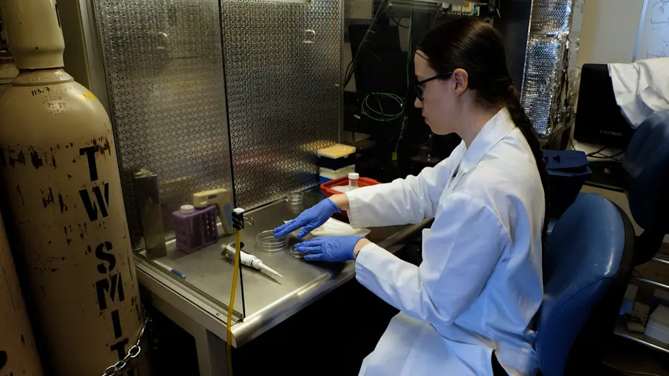 Designing a Bioreactor to Improve Data Acquisition and Model Throughput of Engineered Cardiac Tissues