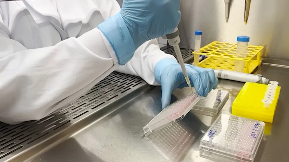 An In-House-Built and Light-Emitting-Diode-Based Photodynamic Therapy Device for Enhancing Verteporfin Cytotoxicity in a 2D Cell Culture Model