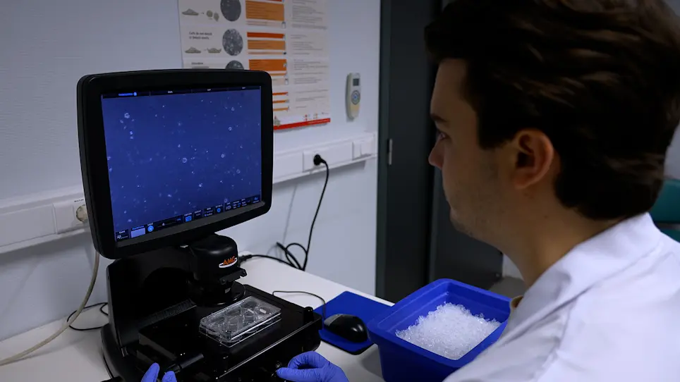 Multiparametric Tumor Organoid Drug Screening Using Widefield Live-Cell Imaging for Bulk and Single-Organoid Analysis