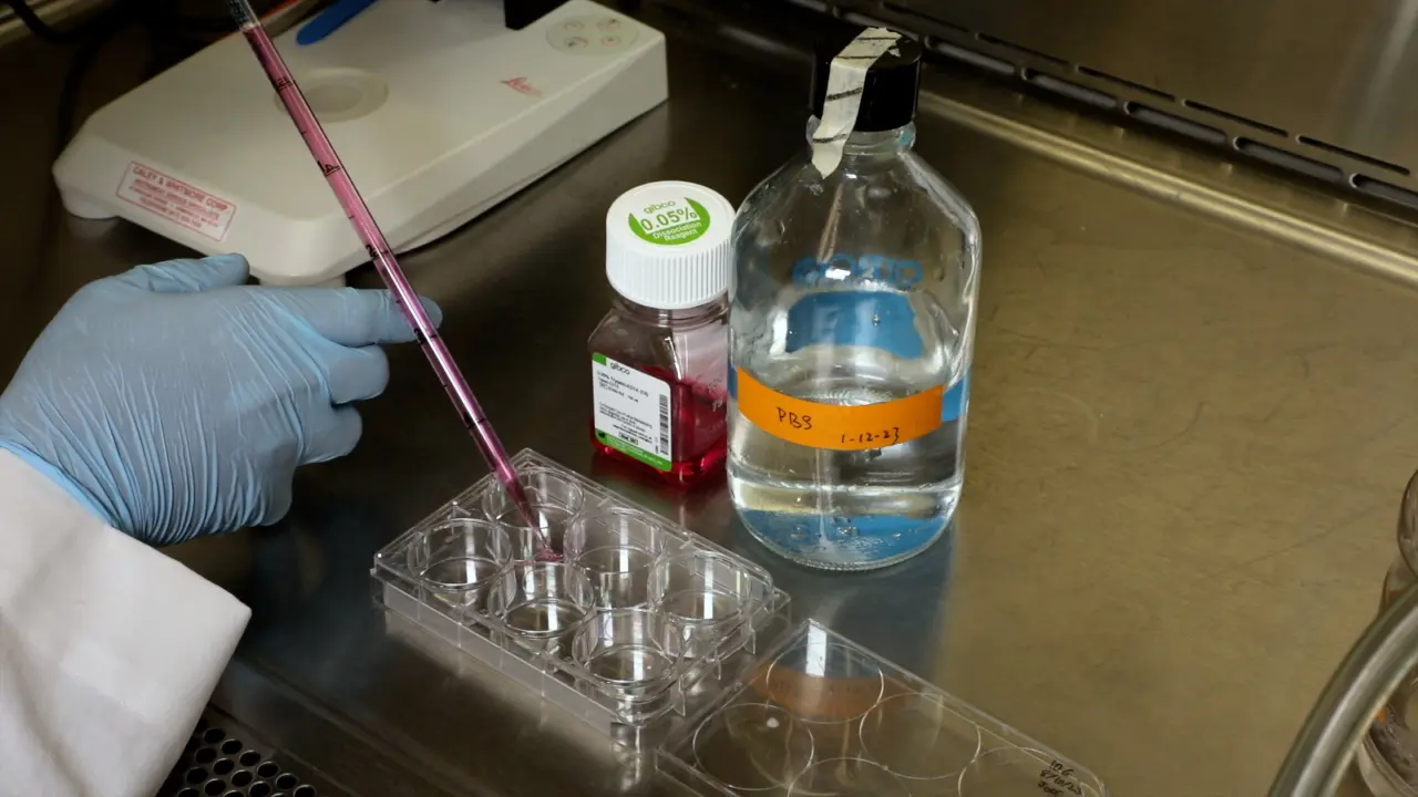 <em>In Vitro</em> Method to Study Sex-Based Differences in Conjunctival Goblet Cells
