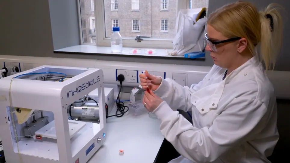 Agarose Fluid Gels Formed by Shear Processing During Gelation for Suspended 3D Bioprinting