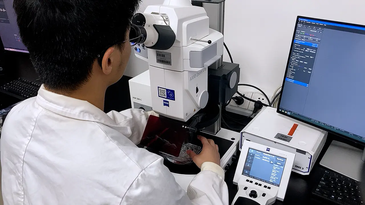 IDG-SW3 Cell Culture in a Three-Dimensional Extracellular Matrix