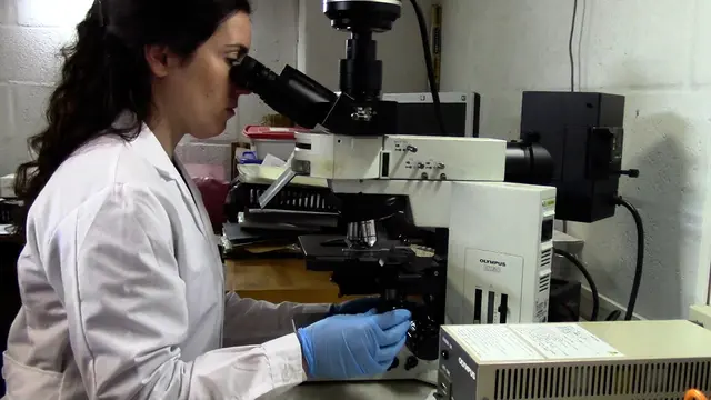 Ecotoxicological Methodologies to Evaluate Biomarkers at Different Scales in Neotropical Anurans