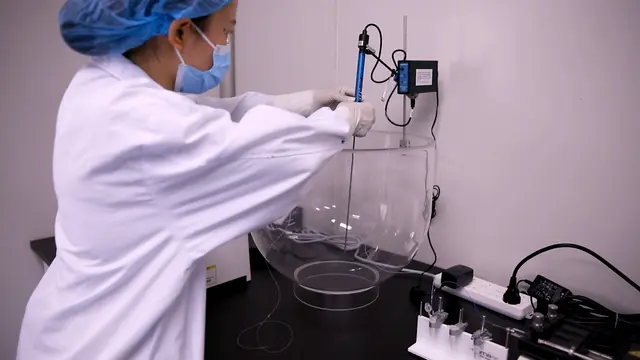 Dynamic Continuous Blood Extraction from Rat Heart <em>via</em> Noninvasive Microdialysis Technique