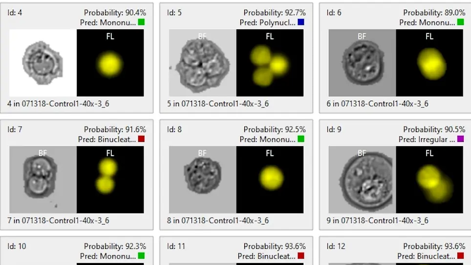Automation of the Micronucleus Assay Using Imaging Flow Cytometry and Artificial Intelligence