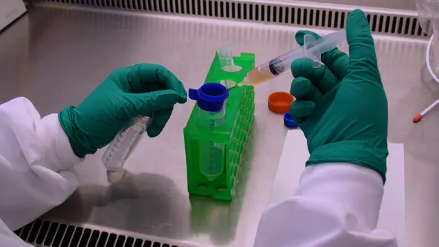 Isolation of Quiescent Stem Cell Populations from Individual Skeletal Muscles