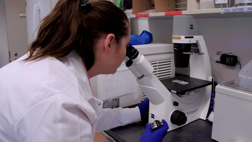 Enrichment of Adult Mouse Dorsal Root Ganglia Neuron Cultures by Immunopanning