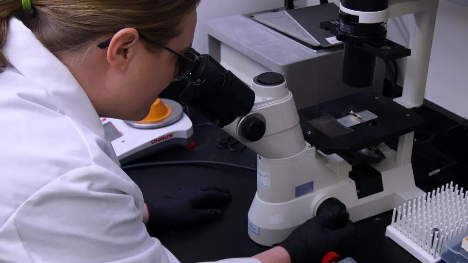 Testing Cancer Immunotherapeutics in a Humanized Mouse Model Bearing Human Tumors