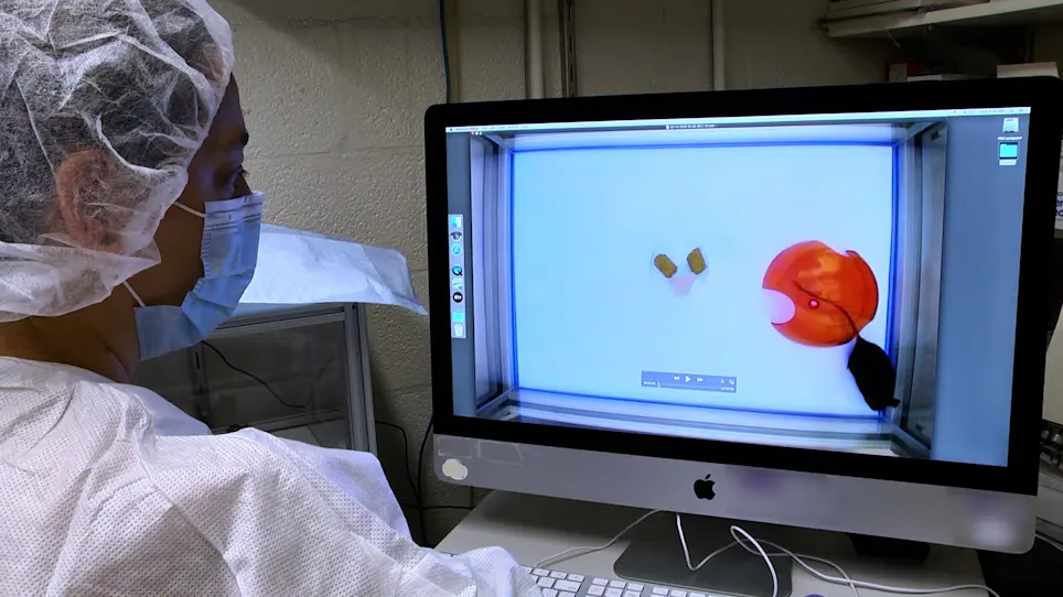 Real-Time Void Spot Assay