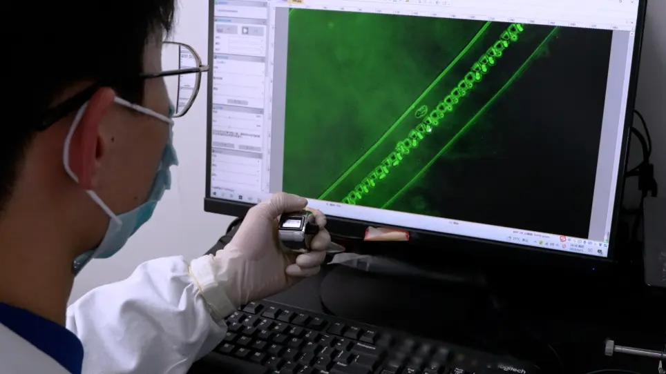Clinical Microfluidic Chip Platform for the Isolation of Versatile Circulating Tumor Cells