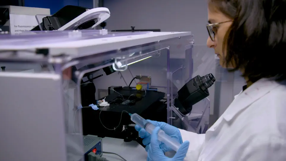 A Microfluidic Platform to Study Bioclogging in Porous Media