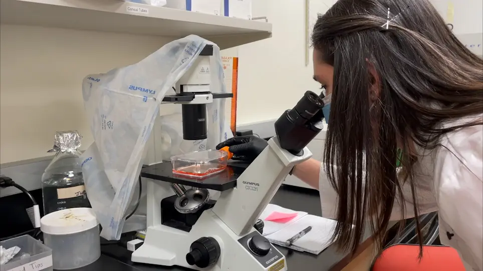 Cell Culture Techniques and Practices to Avoid Contamination by Fungi and Bacteria in the Research Cell Culture Laboratory