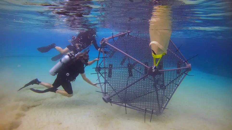 Coral Reef Arks: An <em>In Situ</em> Mesocosm and Toolkit for Assembling Reef Communities