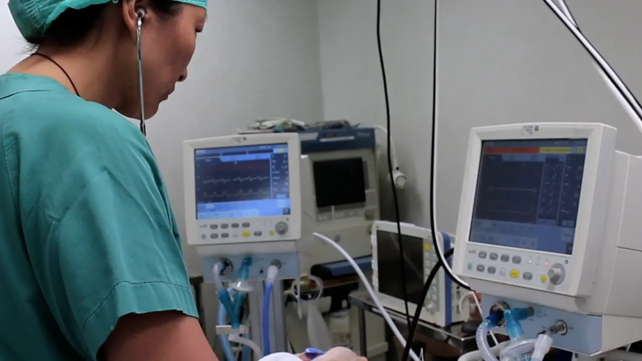 A Piglet Perinatal Asphyxia Model to Study Cardiac Injury and Hemodynamics after Cardiac Arrest, Resuscitation, and the Return of Spontaneous Circulation