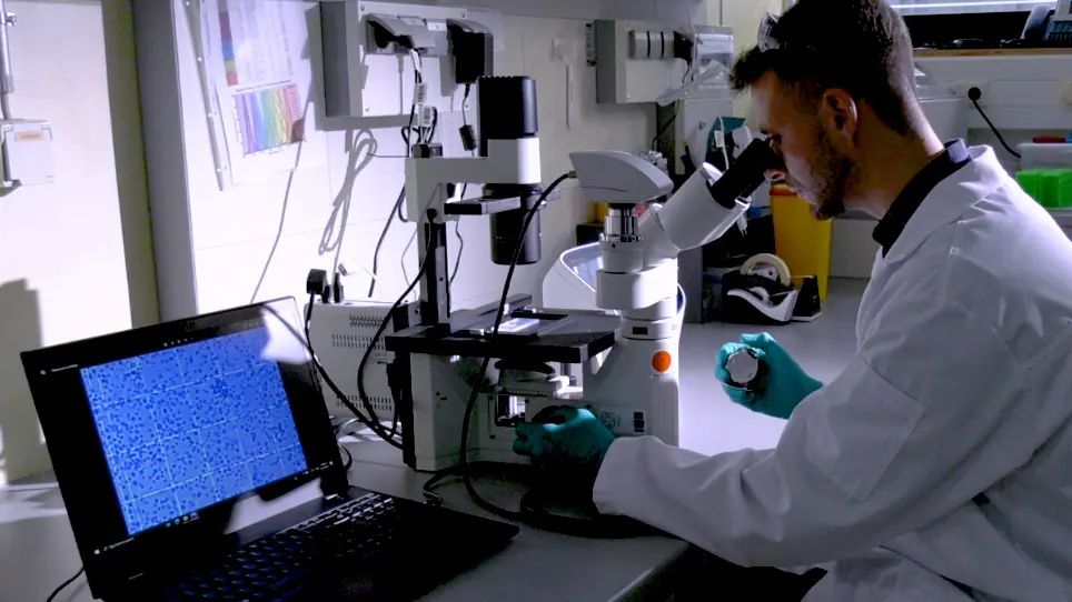Isolation of Nuclei from Flash-Frozen Liver Tissue for Single-Cell Multiomics