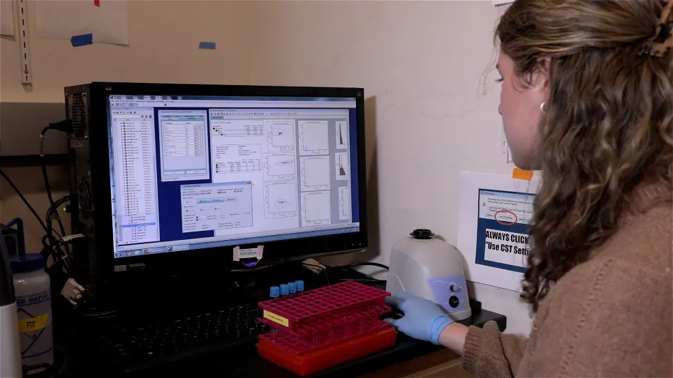 Rapid Development of Cell State Identification Circuits with Poly-Transfection
