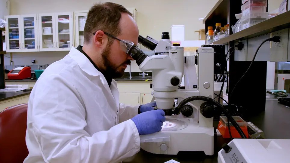 Visualizing Early Infection Sites of Rice Blast Disease (<em>Magnaporthe oryzae</em>) on Barley (<em>Hordeum vulgare)</em> Using a Basic Microscope and a Smartphone