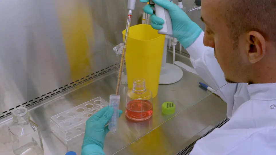 Determination of Vaccine Immunogenicity Using Bovine Monocyte-Derived Dendritic Cells