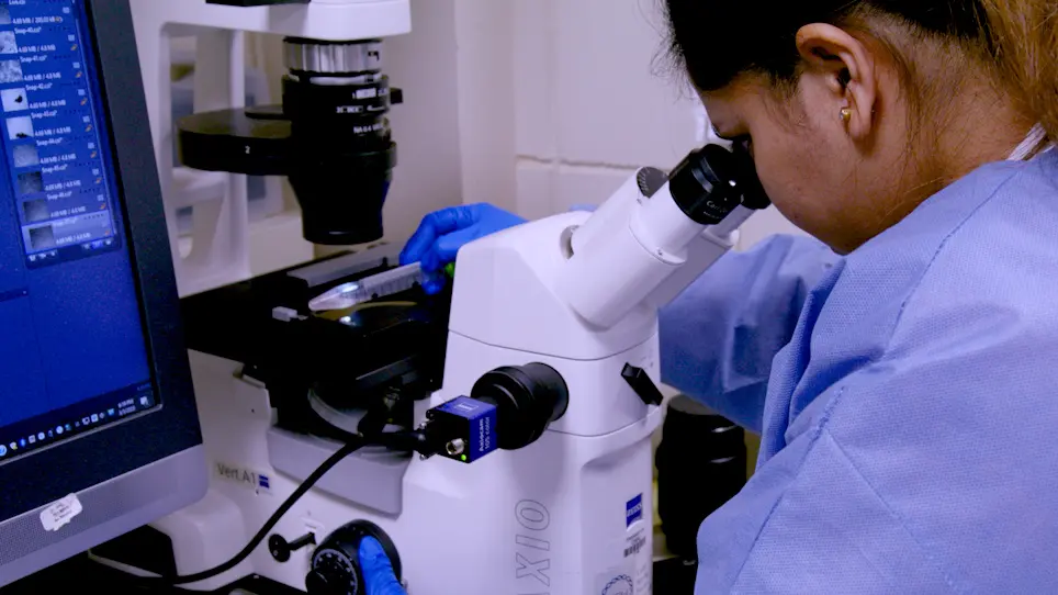 Establishment and Culture of Patient-Derived Breast Organoids