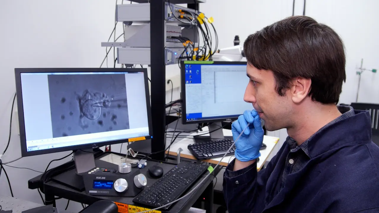 Isolating and Culturing Vestibular and Spiral Ganglion Somata from Neonatal Rodents for Patch-Clamp Recordings