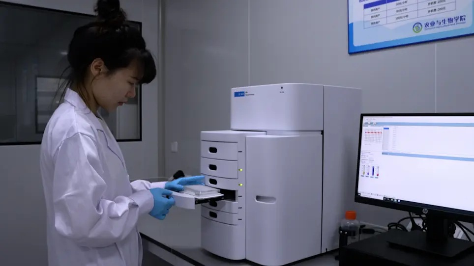 Isolation and Transcriptome Analysis of Plant Cell Types
