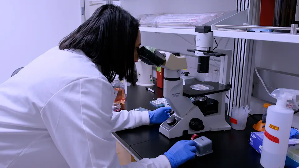 Quantifying Replication Stress in Ovarian Cancer Cells Using Single-Stranded DNA Immunofluorescence