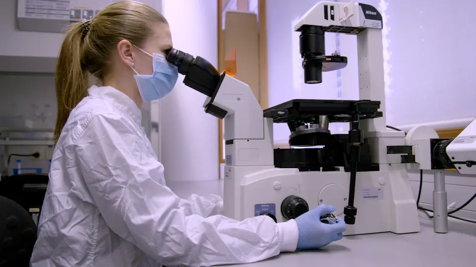 Generation and Maintenance of Primate Induced Pluripotent Stem Cells Derived from Urine